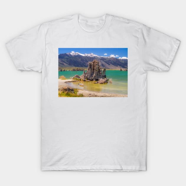 Mono Lake T-Shirt by algill